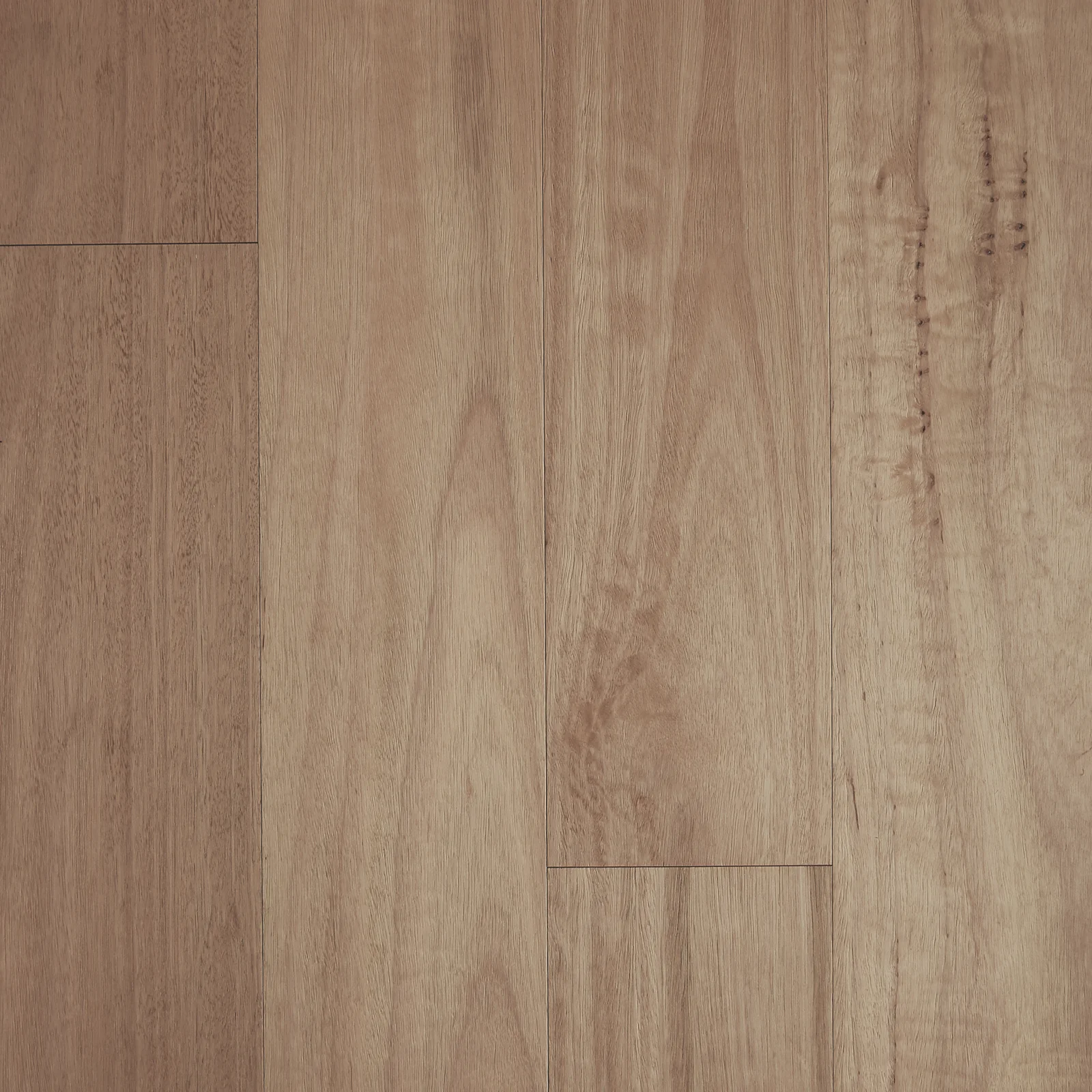 Blackbutt-Brushed-Matte-Fiddleback