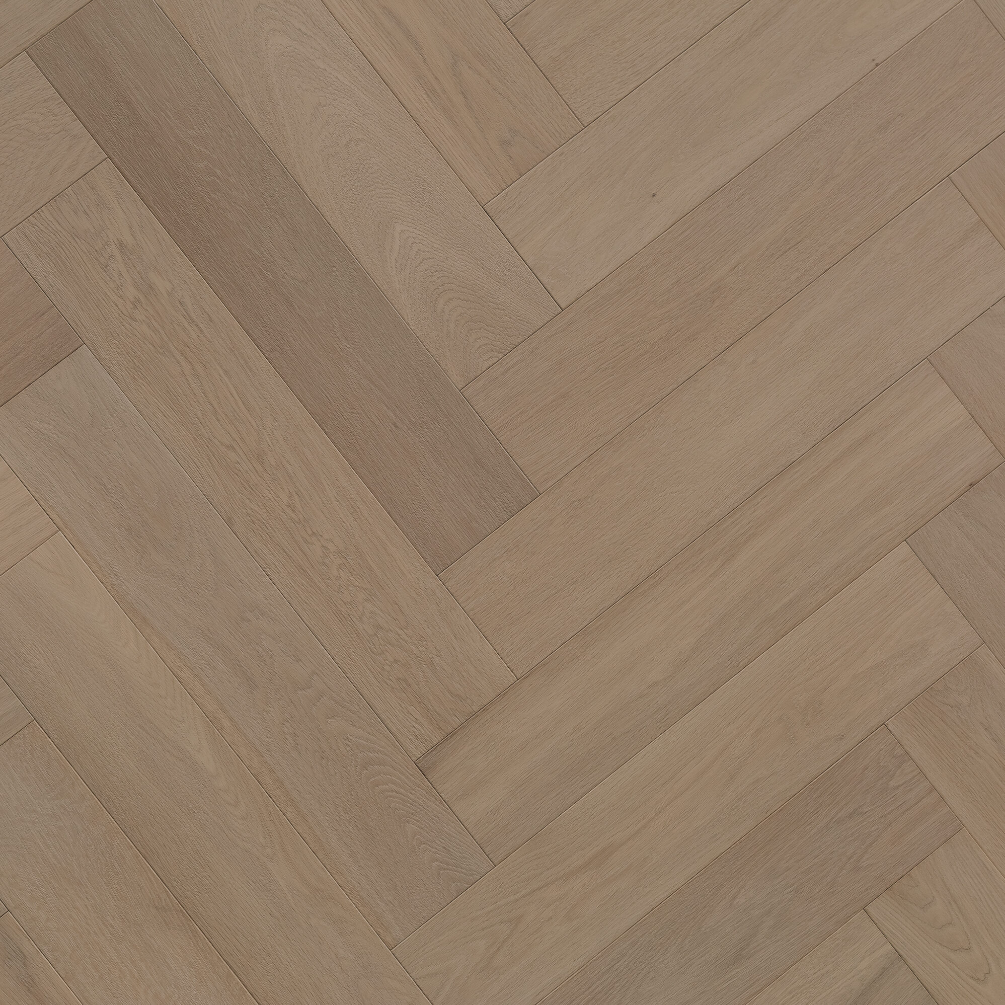Misty Cove Parquetry [Pronto]