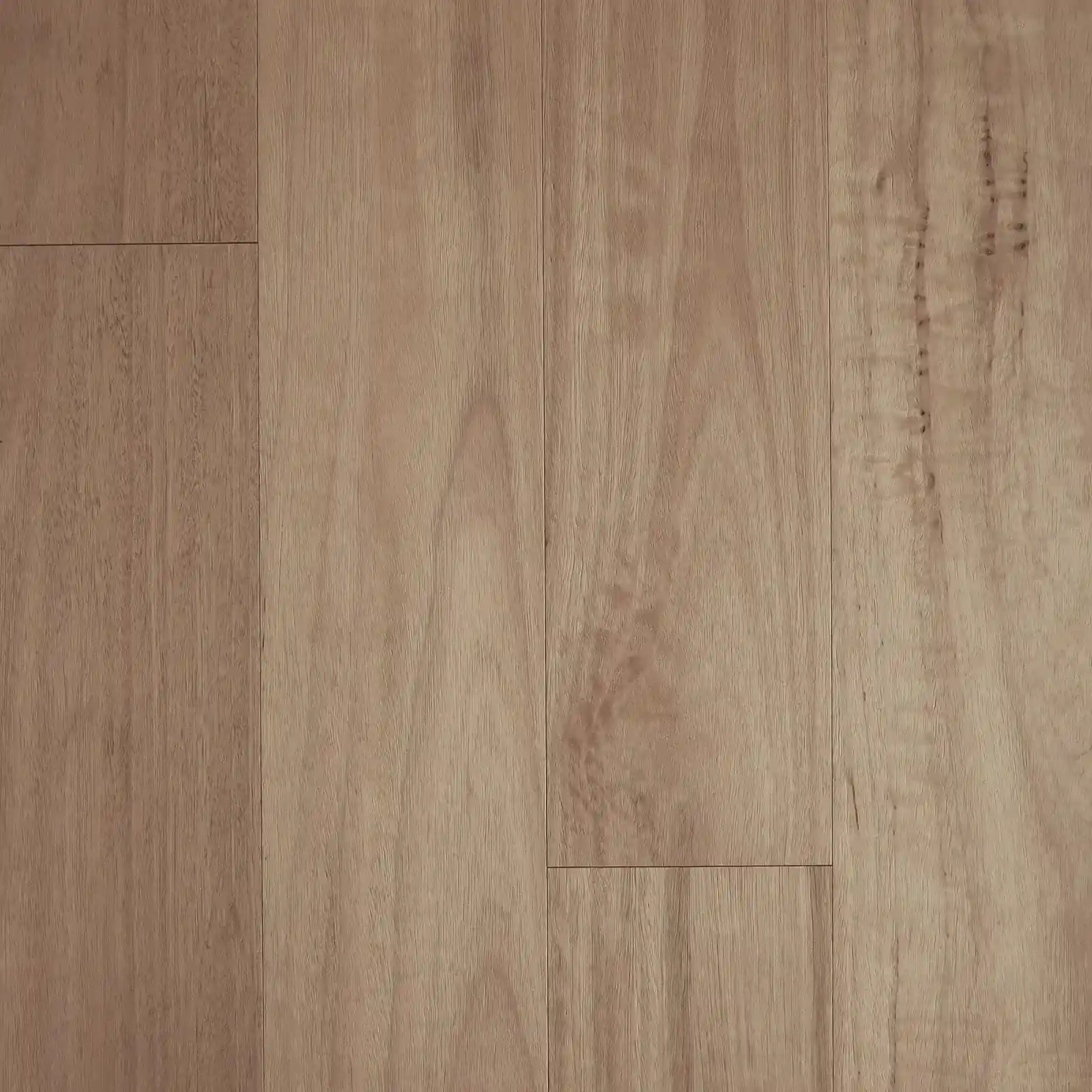 Blackbutt-Brushed-Matte-Fiddleback (2) (1)