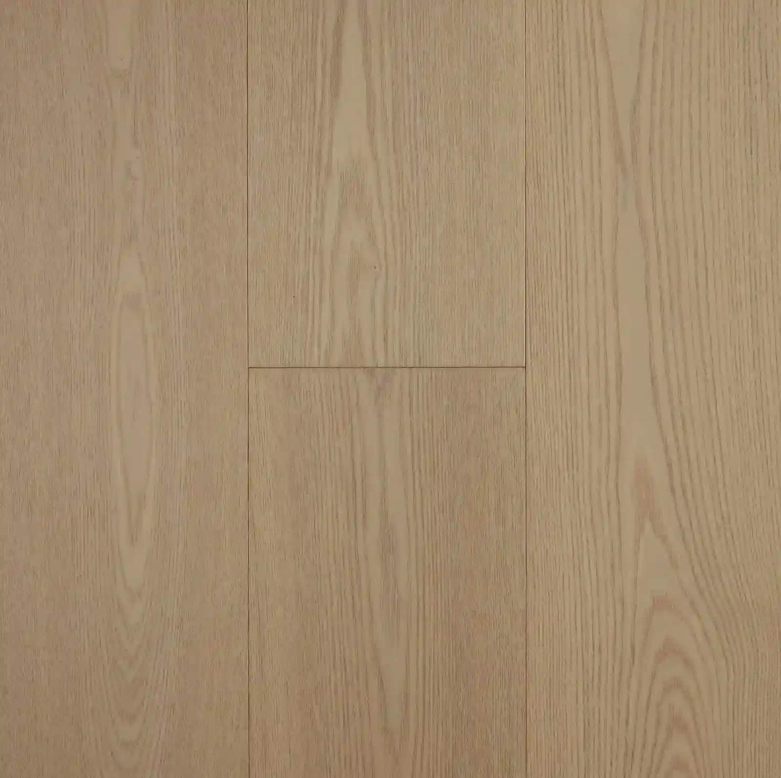 HA-Spring-Moon (2) (1)